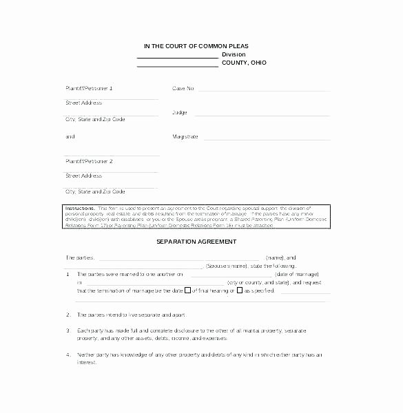 Co Parenting Agreement Template Best Of Sample Parenting Plan Template Parent Child Contract Free