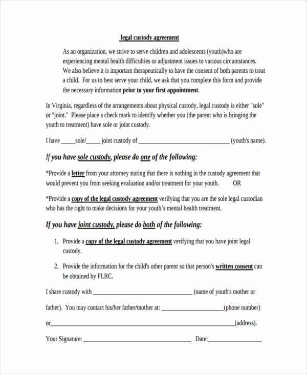 Co Parenting Agreement Template Lovely Co Parenting Agreement Template Sample Child Custody
