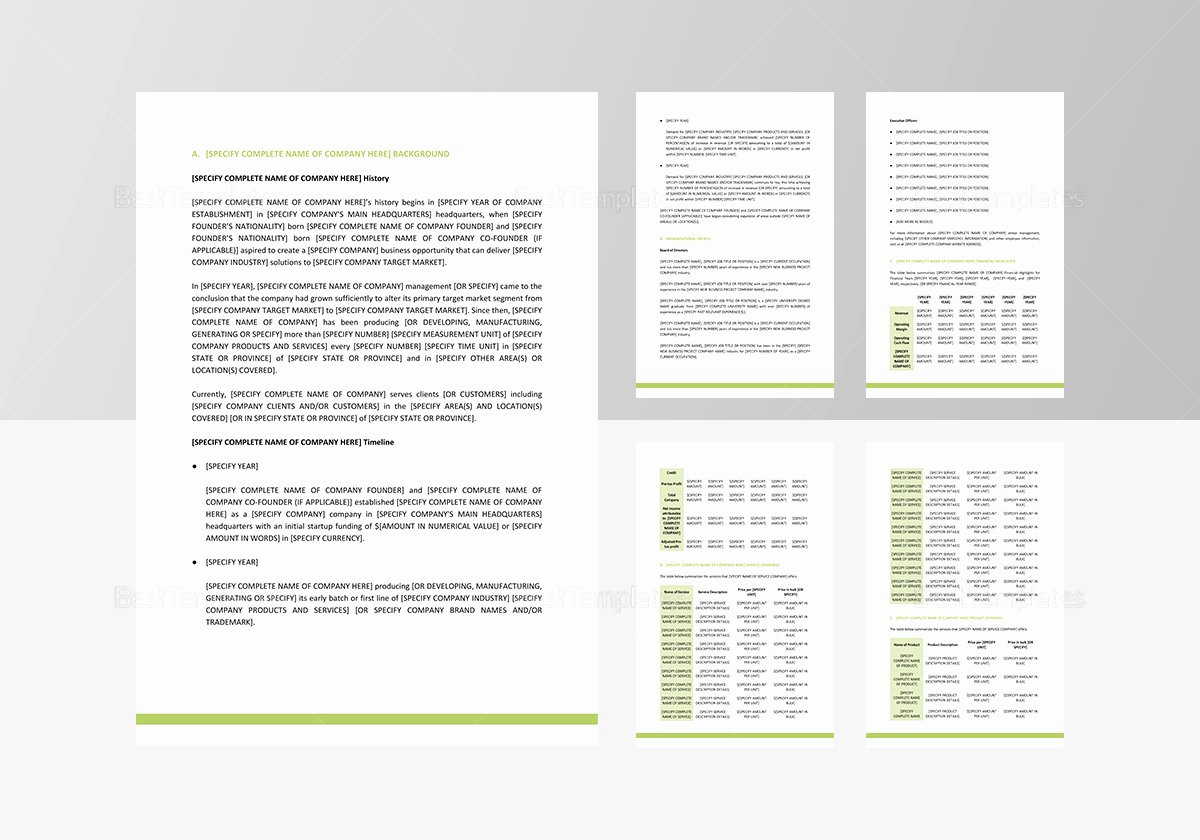 Company Fact Sheet Template Luxury Pany Fact Sheet Template In Word Google Docs Apple Pages