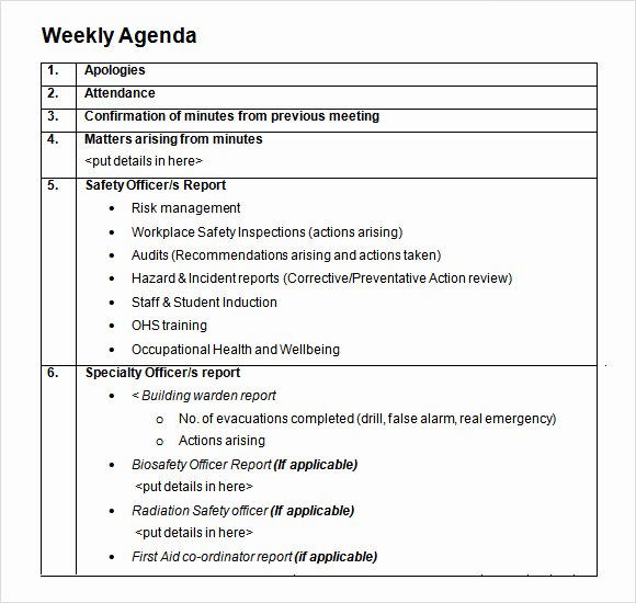 Construction Meeting Agenda Template Beautiful 10 Weekly Agenda Samples