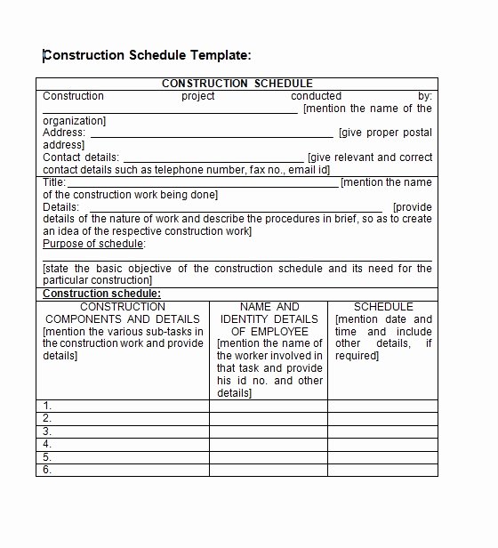 Contractor Payment Schedule Template New Construction Schedule Template Word Excel