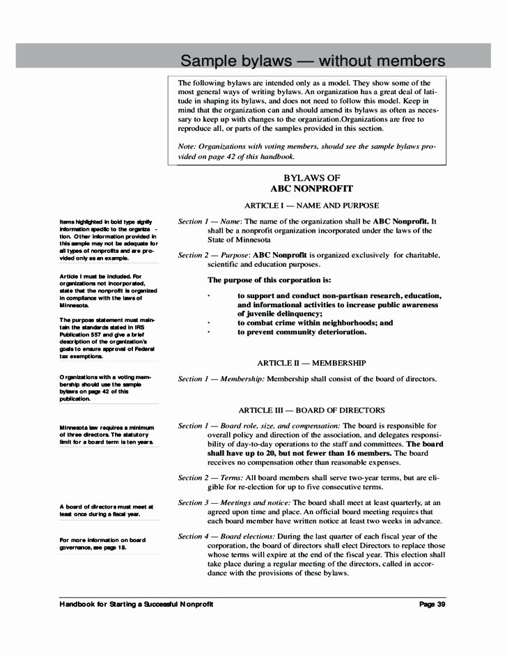 Corporate bylaws Template Word Inspirational Corporate bylaws Template Georgia bylaw – Btcromaniafo