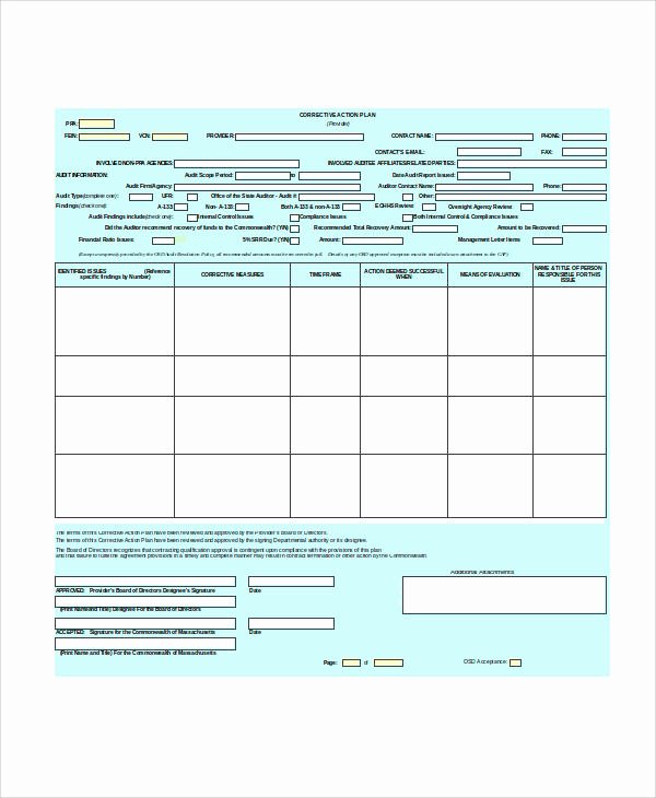 Corrective Action Plan Template New 30 Action Plan format Samples