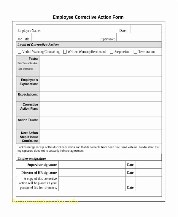Corrective Action Template Word Beautiful Employee Corrective Action form