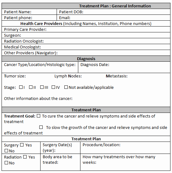 Counseling Treatment Plan Template Best Of 38 Free Treatment Plan Templates In Word Excel Pdf