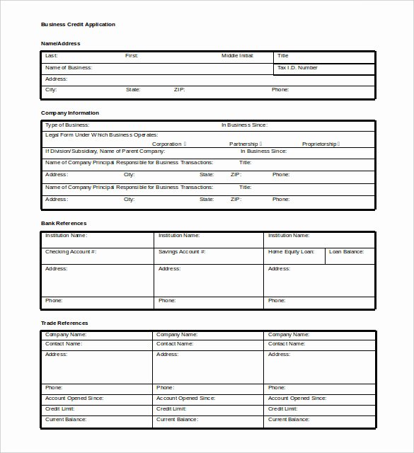 Credit Application Template Pdf Best Of 5 Credit Template Doc Pdf Eps