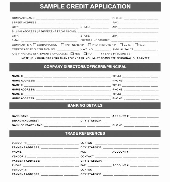 Credit Application Template Pdf Best Of Credit Application forms 9 Documents Free Download In