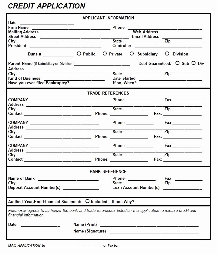 Credit Application Template Pdf Best Of Fice forms Credit Application form