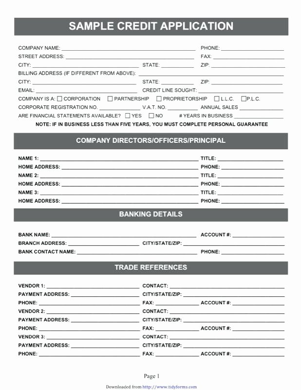 Credit Application Template Pdf Luxury Credit Application Templates Free Sample Example format