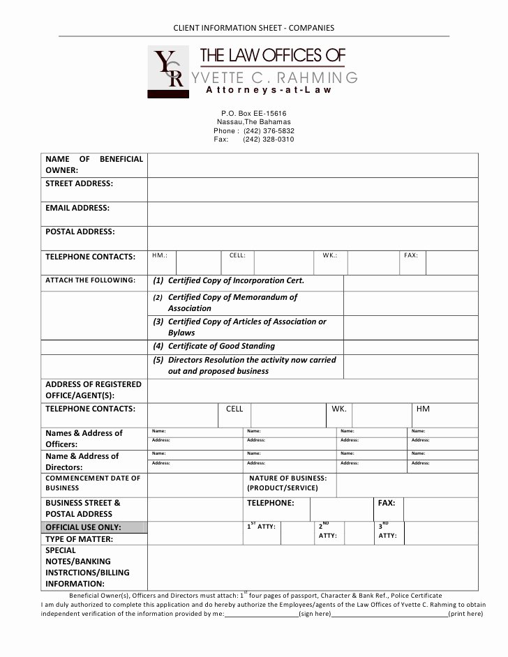 Customer Information form Template Fresh Client Information Sheet Pany