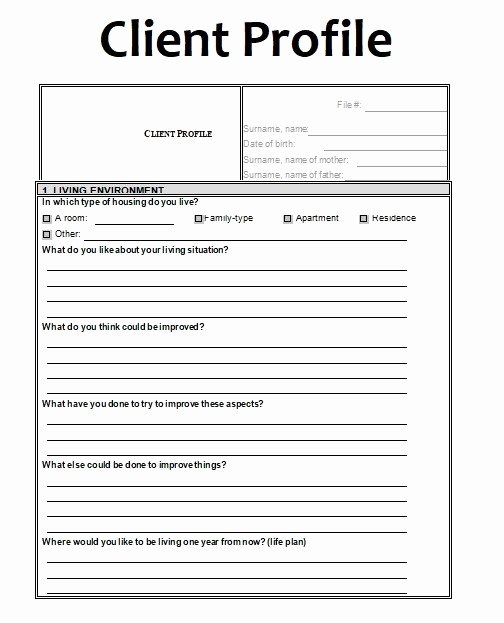 Customer Profile Template Excel Lovely Free Word &amp; Excel Templates