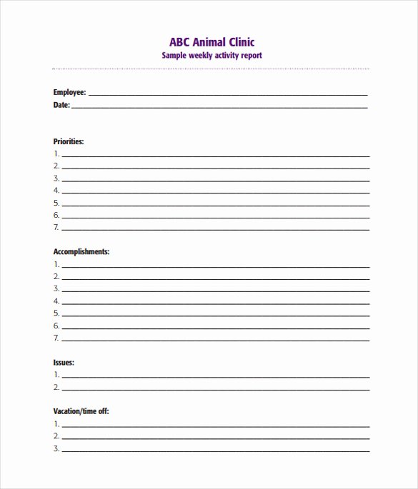 Daily Activity Report Template Luxury 17 Sample Weekly Activity Reports Pdf Word Apple