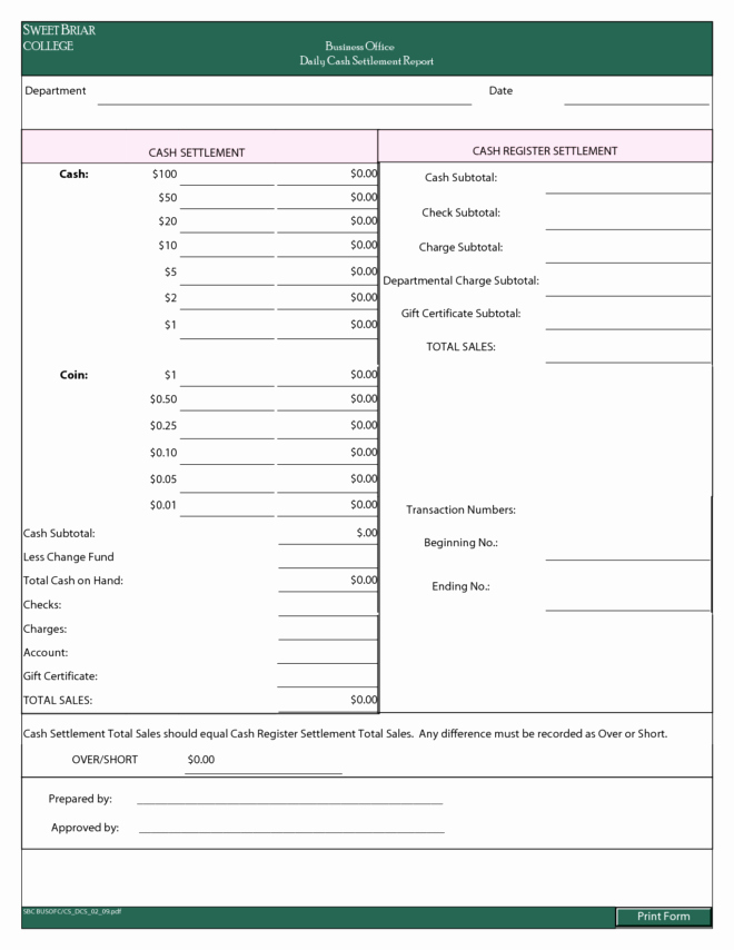 Daily Cash Report Template Lovely Professional Daily Report Template Samples for Business