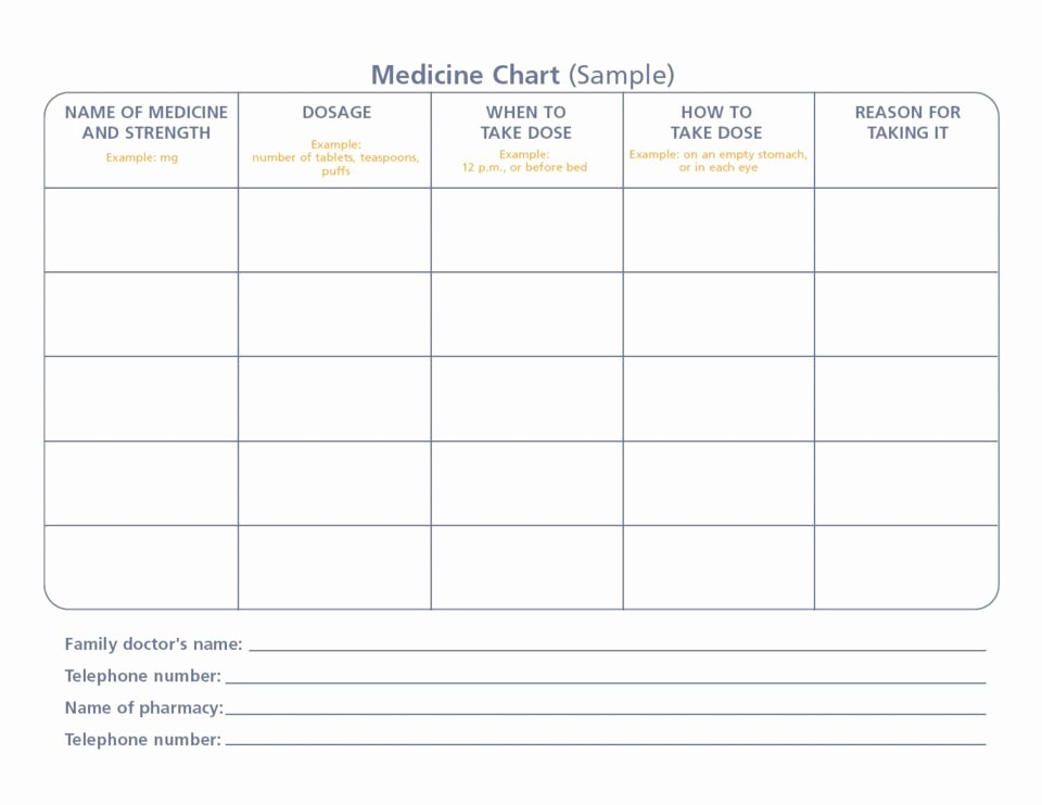 Daily Medication Schedule Template Luxury Sheet Daily Medication Schedule Spreadsheet High Blood