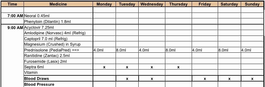 Daily Medication Schedule Template Unique 6 Medication Intake Schedule Templates – Word Templates