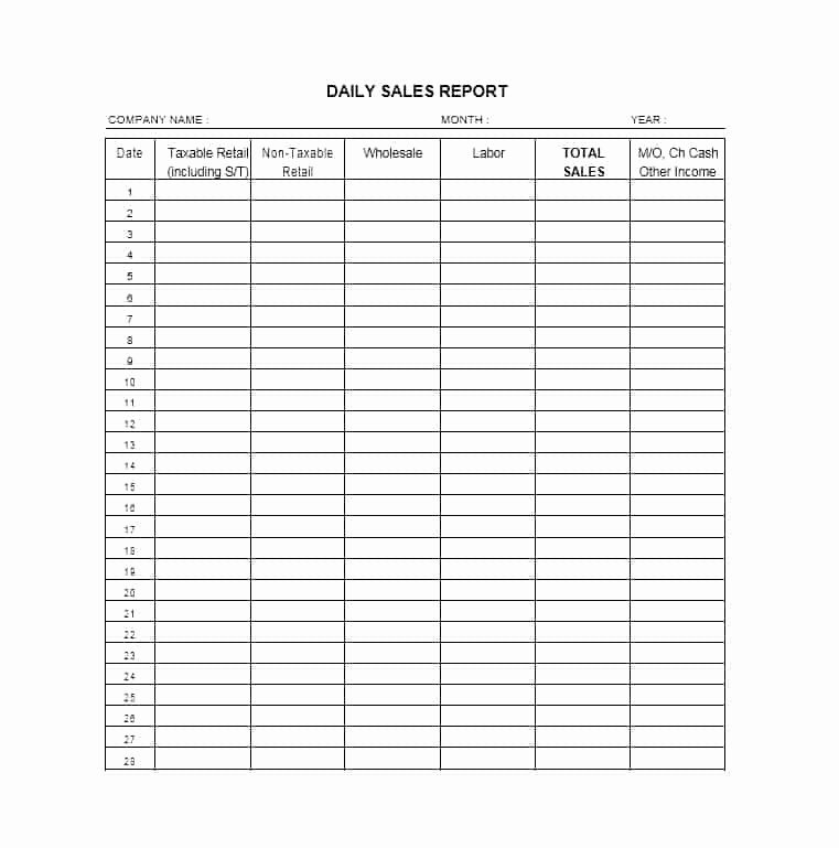 Daily Sales Report Template Best Of 45 Sales Report Templates [daily Weekly Monthly Salesman
