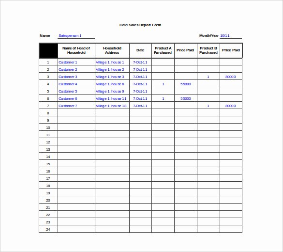 Daily Sales Report Template Luxury 25 Sales Report Templates Doc Pdf Excel Word