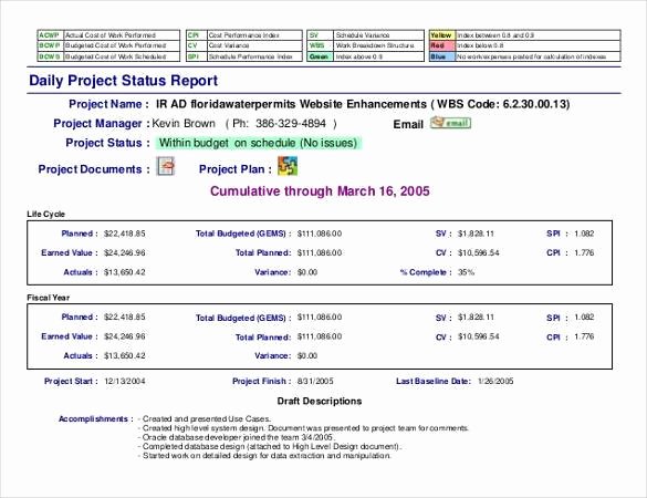Daily Status Report Template Lovely 56 Daily Report Templates Pdf Doc Excel