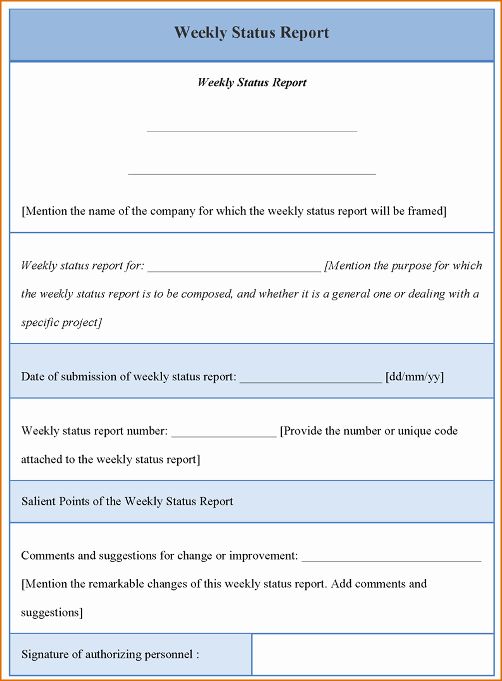 Daily Status Report Template New 12 Monthly Status Report Template
