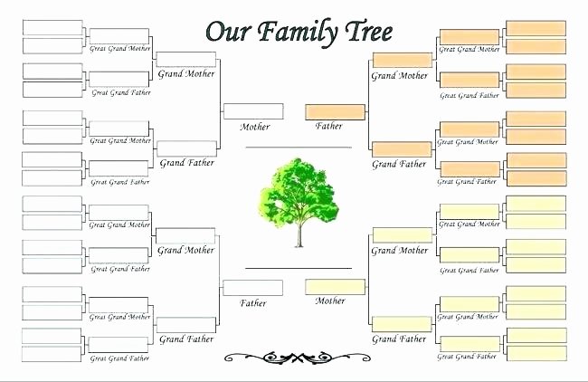 Decision Tree Template Word Best Of Free Editable Family Tree Template Pedigree Google Docs