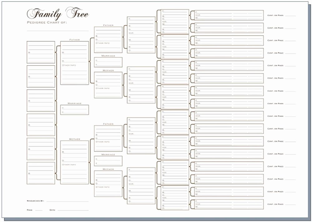 Descendant Chart Template Excel Best Of A3 Six Generation Family Tree Chart Pedigree Pack Of 3