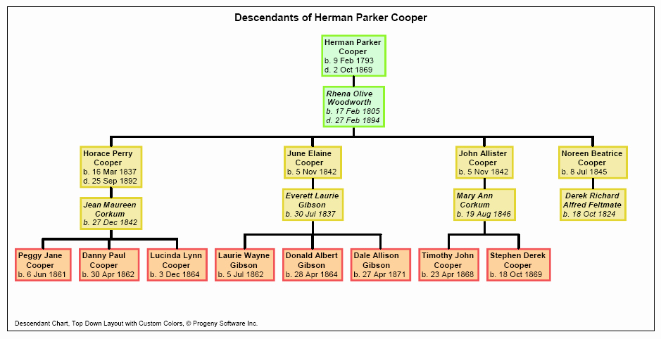 Descendant Chart Template Excel Inspirational Descendant top Down Sample Family Tree Charts