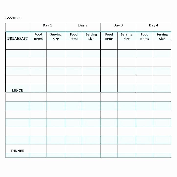 Diabetic Food Journal Template Awesome Food Diary Spreadsheet Food Journal Template Daily Food