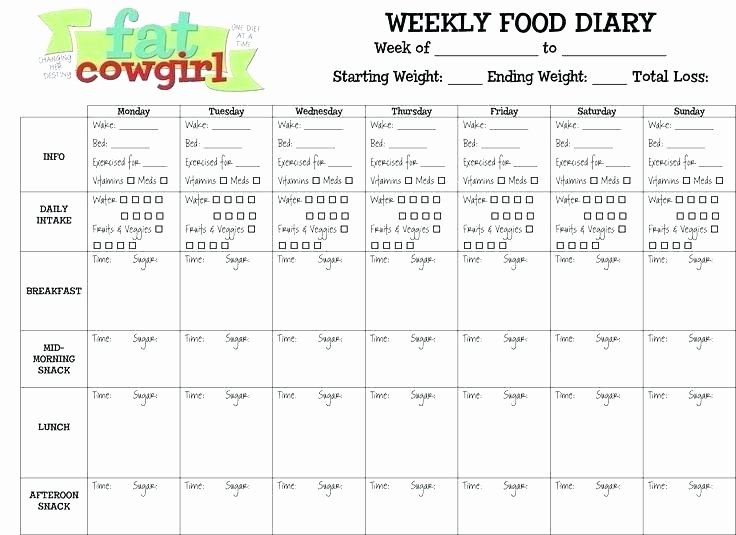 Diabetic Food Journal Template Lovely Diabetic Food Diary Template – Meicys