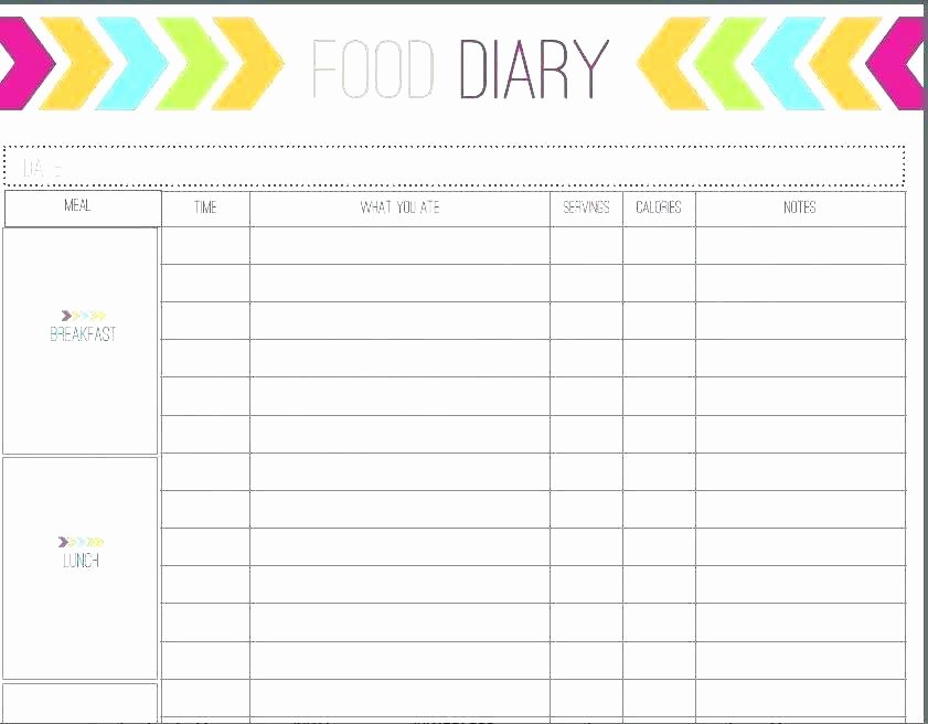 Diabetic Food Journal Template New Food Journal Template Printable Diary Free Daily Log