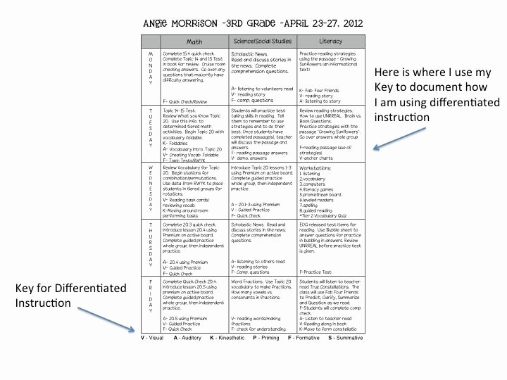 Differentiated Lesson Plan Template Elegant 114 Best Differentiated Instruction Images On Pinterest