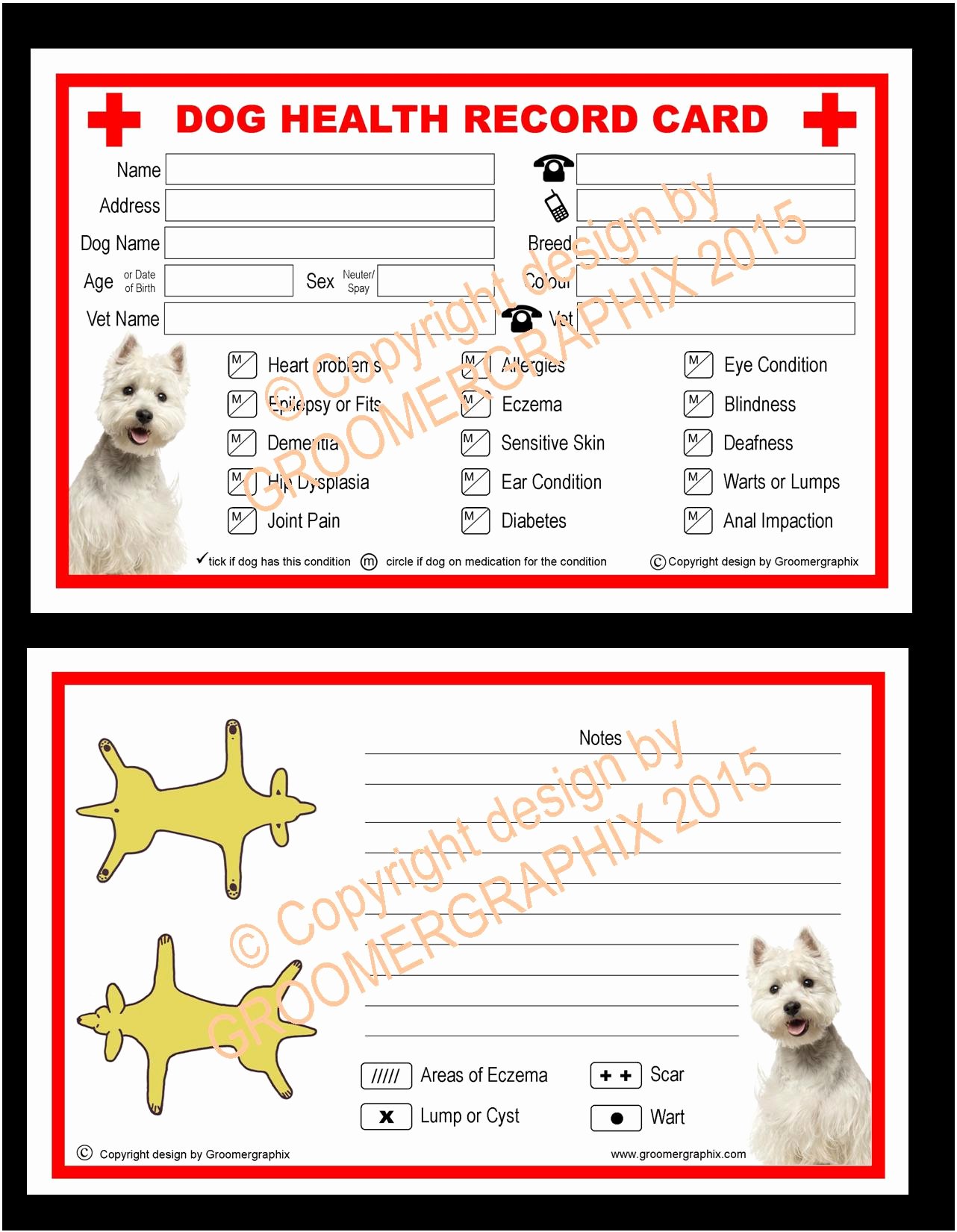 Dog Health Record Template Awesome 50 Premium Health Record Cards — Groomergraphix