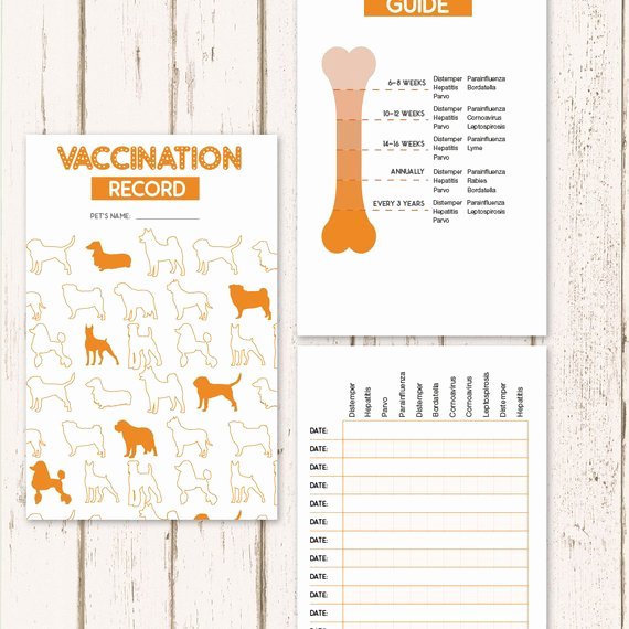 Dog Health Record Template Awesome Printable Dog Vaccine Health Record Pet Care Record Book
