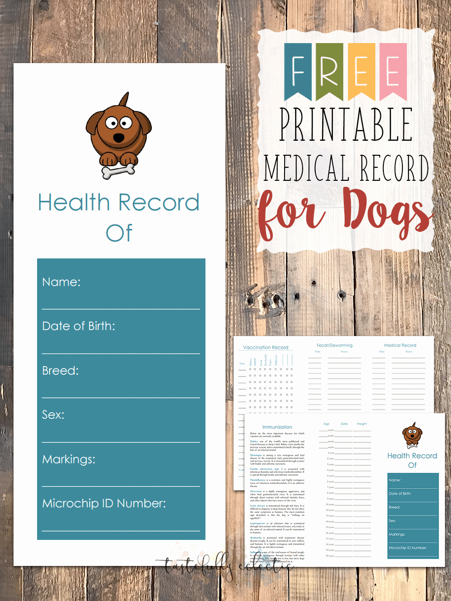 Dog Health Record Template Inspirational Free Printable Medical Record for Dogs Tastefully Eclectic