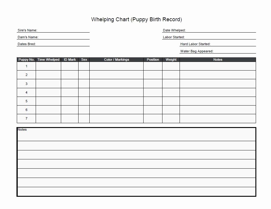 Dog Shot Record Template Best Of 9 Best S Of Printable Puppy Vaccination Chart Dogs