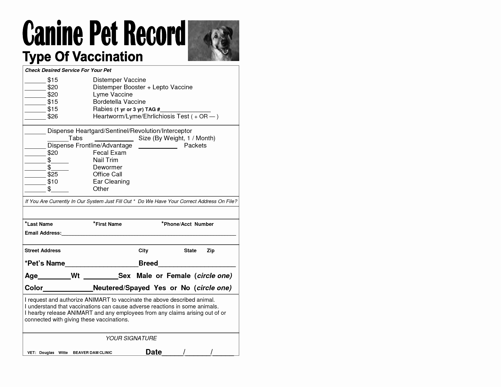 Dog Shot Record Template Elegant 6 Best Of Free Printable Dog Vaccination Chart