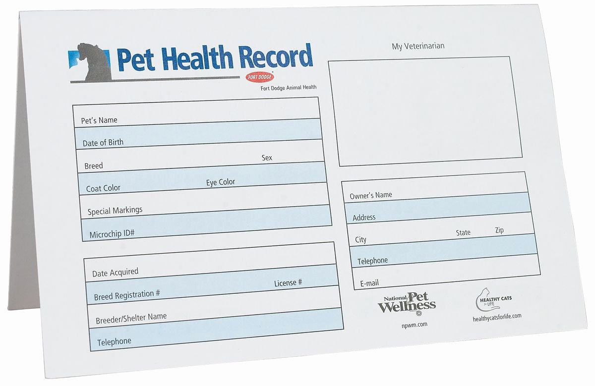 Dog Shot Record Template Elegant Printable Dog Vaccination Card Mad