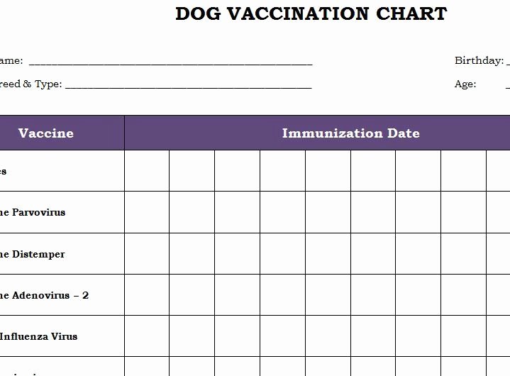 Dog Shot Record Template Inspirational Dog Vaccination Chart Printable Template