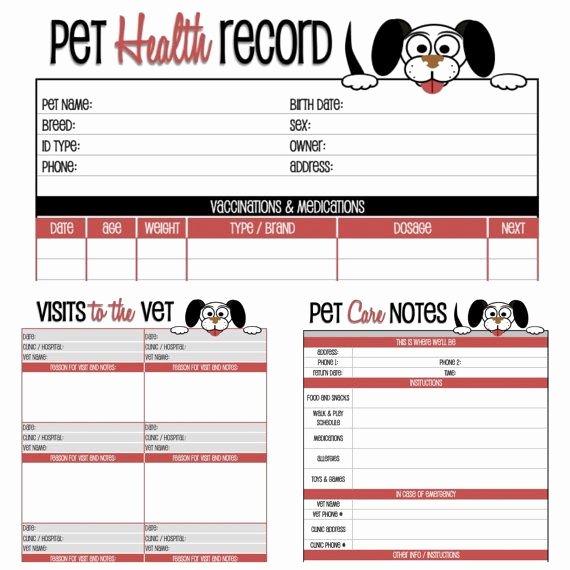 Dog Vaccination Record Template Elegant Dog Health Record Printable for the Pup