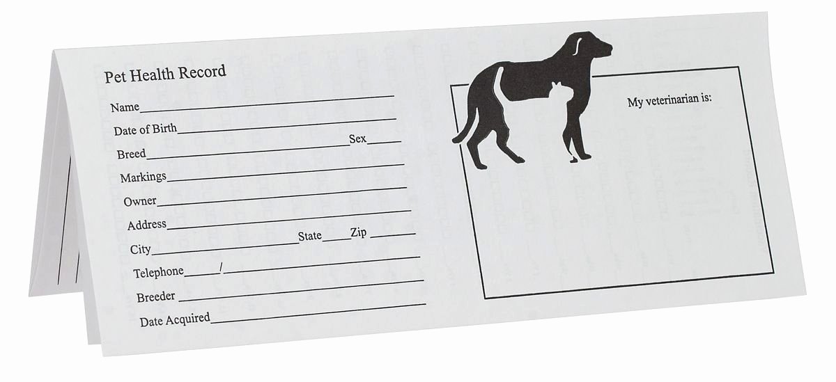 Dog Vaccination Record Template Elegant Printable Puppy Shot Records