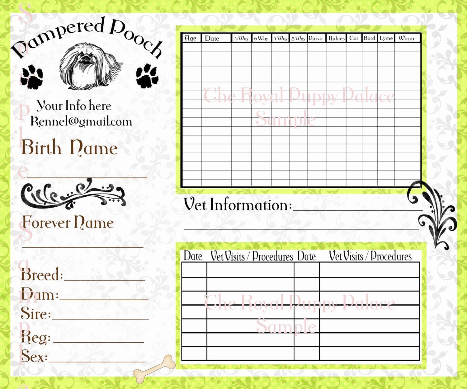 Dog Vaccination Record Template Unique Pampered Pooch Green Customizable Vaccination Cards for Dog