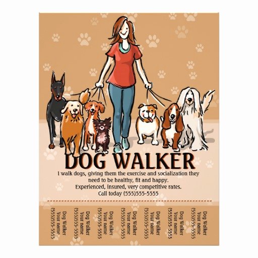 Dog Walking Flyer Template Unique Dog Walker Dog Walking Advertising Template Flyer