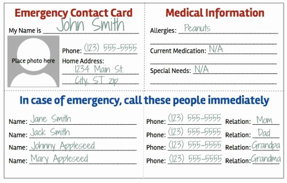 Emergency Contact Card Template Best Of Printable Emergency Contact Card Free Printable Medical Id