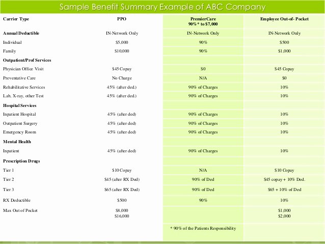 Employee Benefits Summary Template Luxury Intro to Premier Care Supplemental Medical Plan
