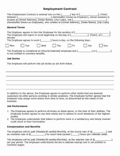 Employment Contract Template Word Lovely Midlevel Employment Agreement Template 32 Sample Contract