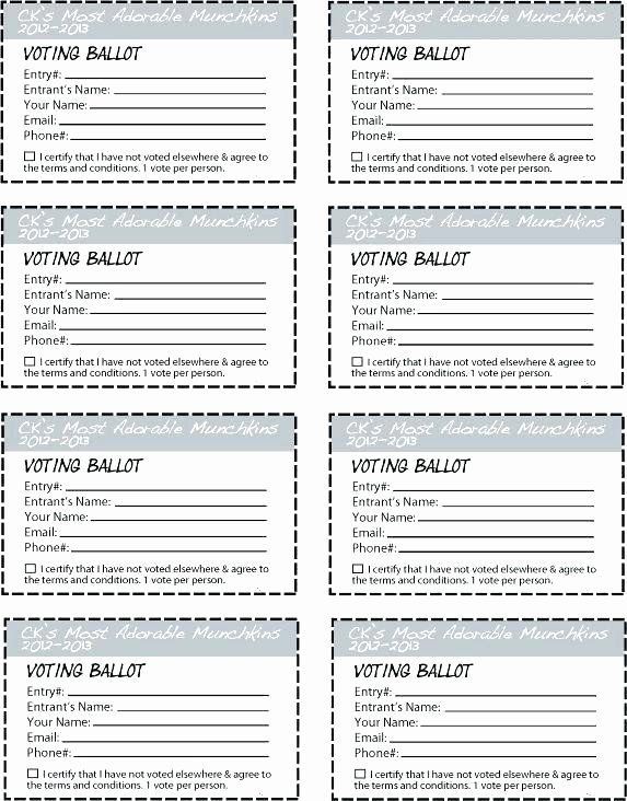 Entry form Template Word Lovely Election Ballot Template Cute Sample Gallery Examples