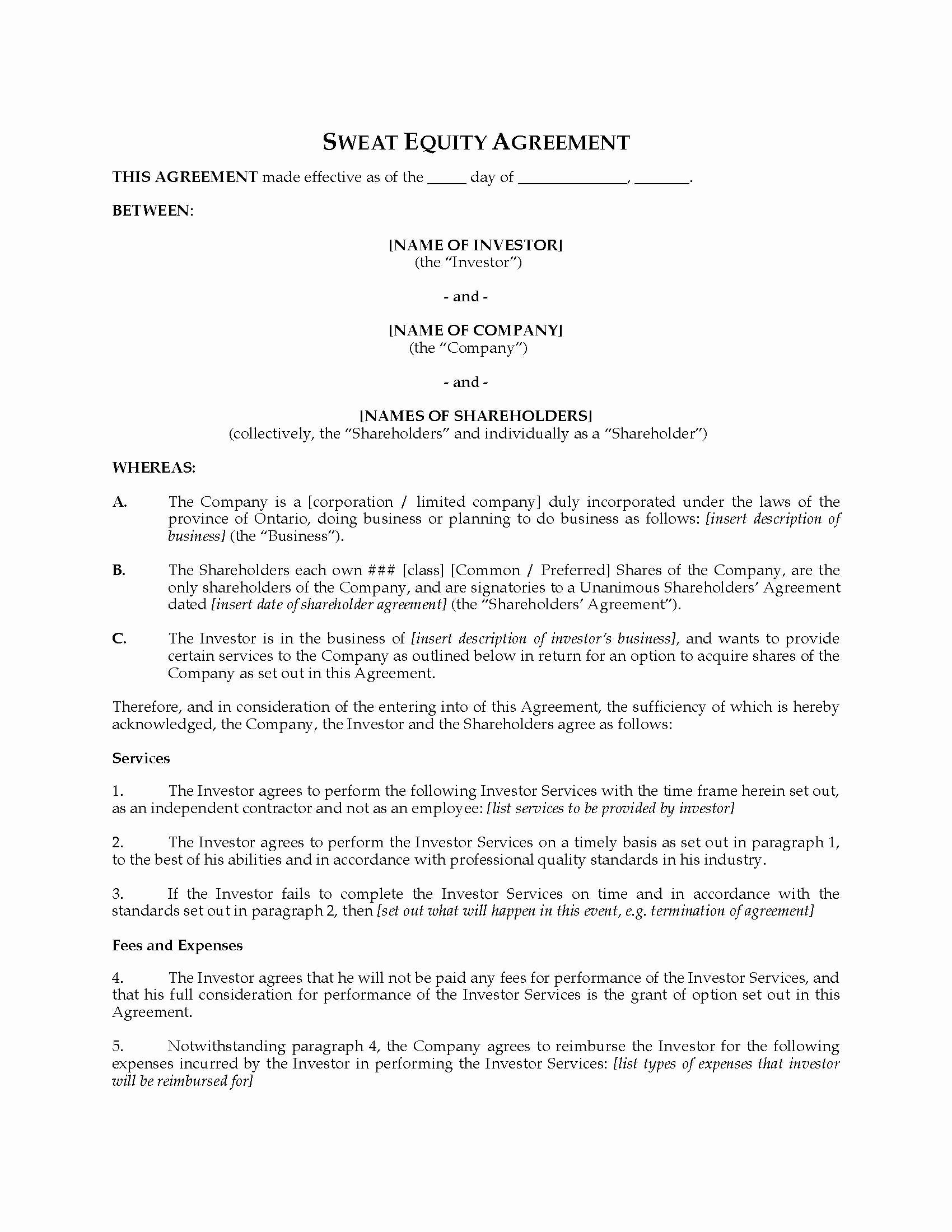 Equity Share Agreement Template Best Of 45 Advanced Business Equity Agreement Template Gu
