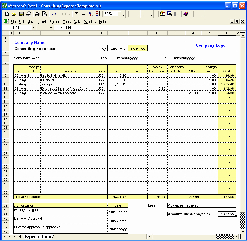 Excel Expense Report Template Inspirational Excel Template Expenses
