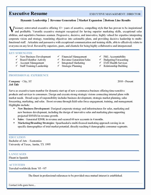 Executive Director Resume Template Awesome Executive Resume Template Latest Information