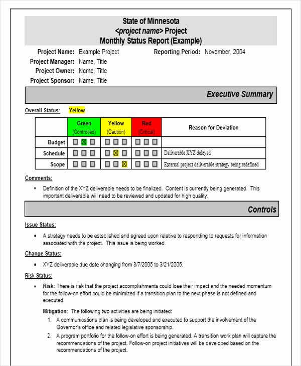 Executive Status Report Template Best Of 42 Monthly Report format Templates