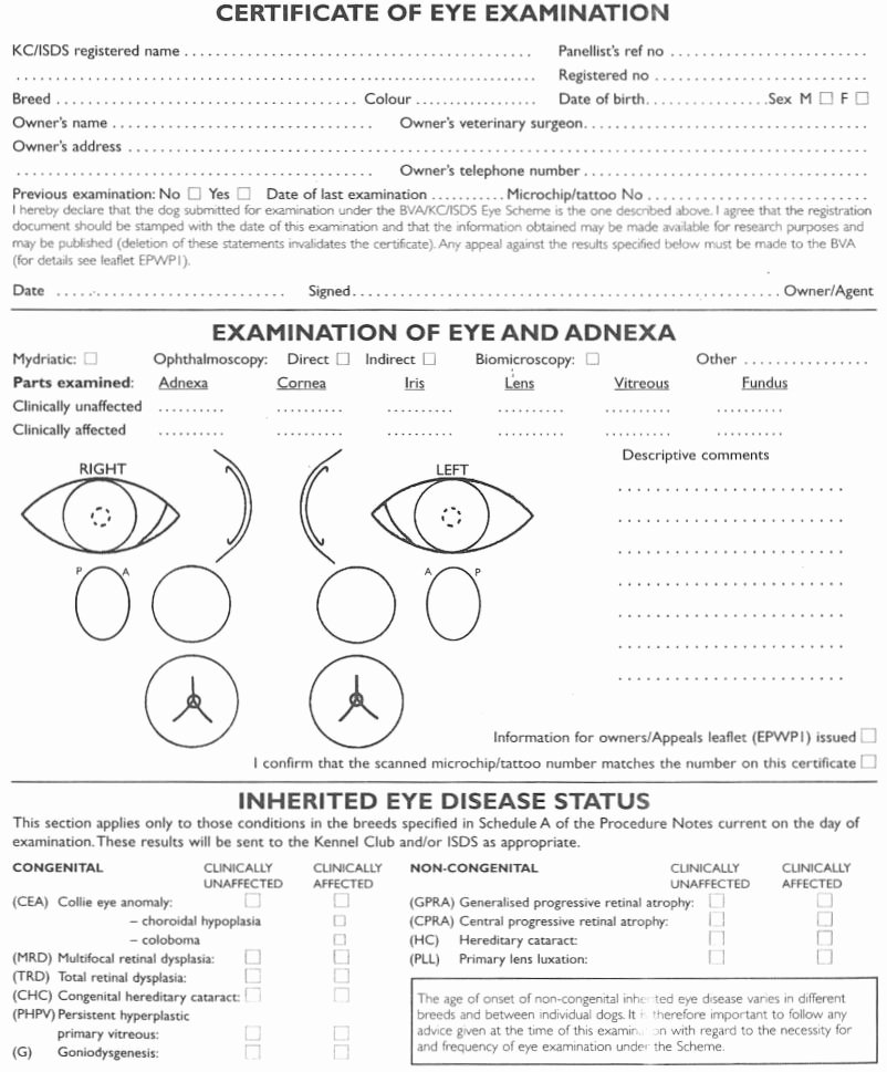 Eye Exam forms Template New Basic Eye Exam form Sheets to Pin On Pinterest